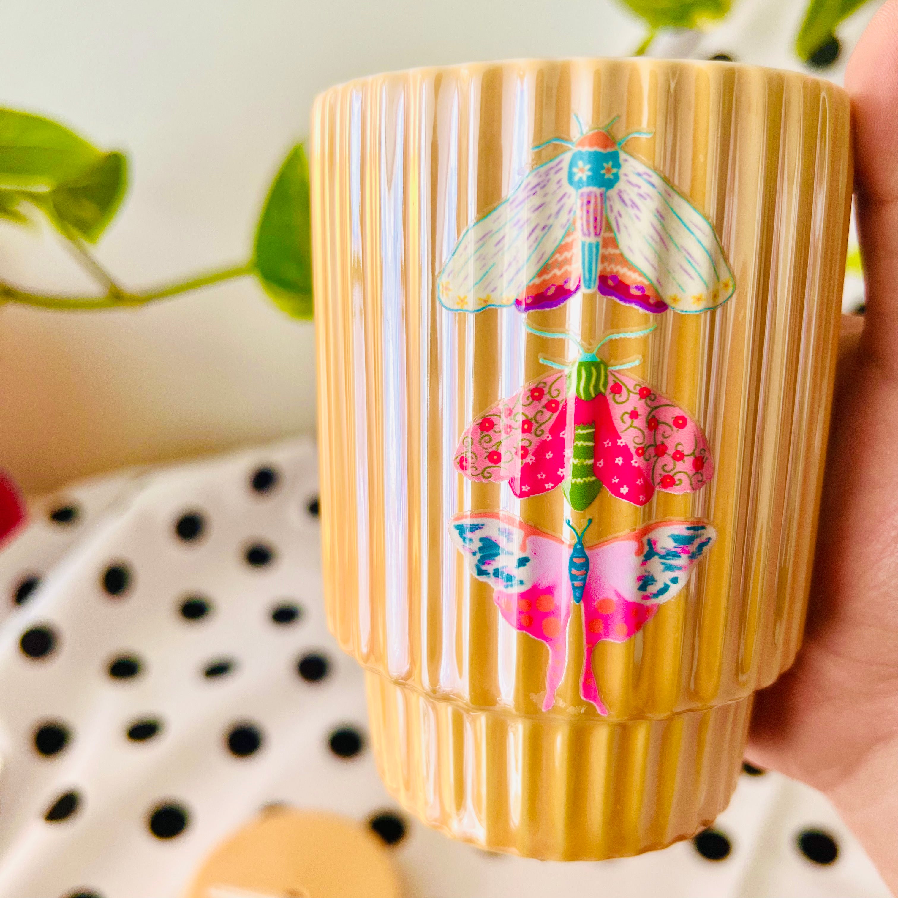 Vaso tapa  Pequeñas maravillas